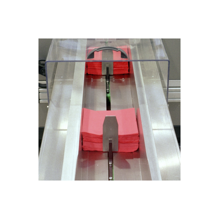 System Motion Conveyor