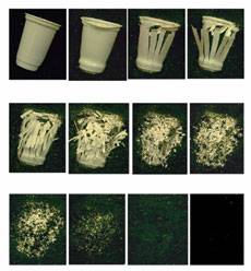 biodegrading plastic