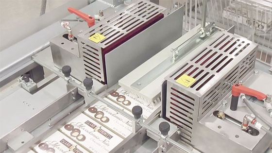 LX Series Confectionery Overwrapping Machine - LX100FF