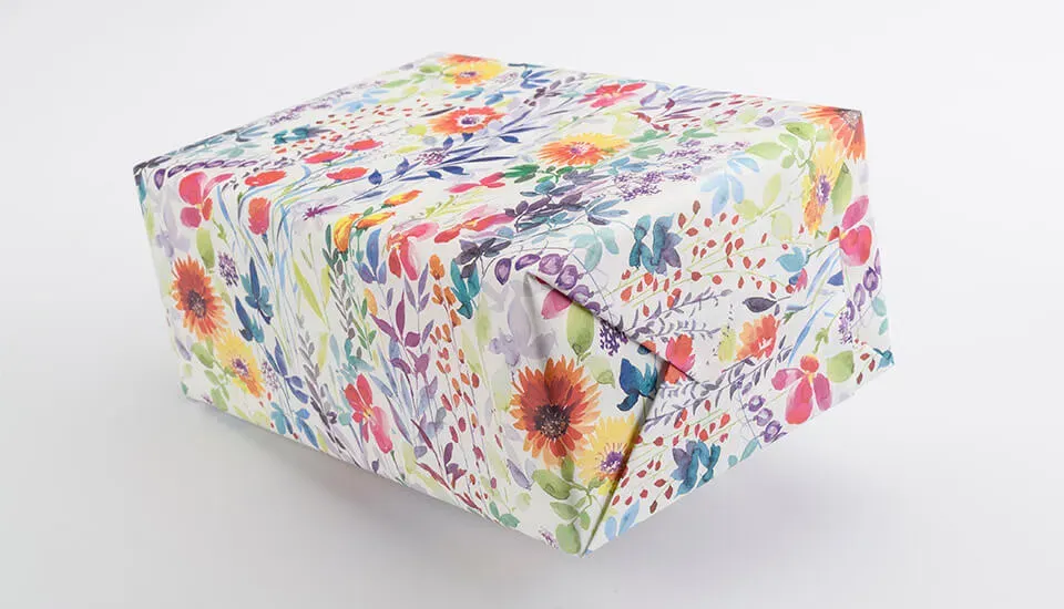 In Umweltfreundliches, Bedrucktes Papier Verpackte Schachtel