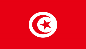 tn flag